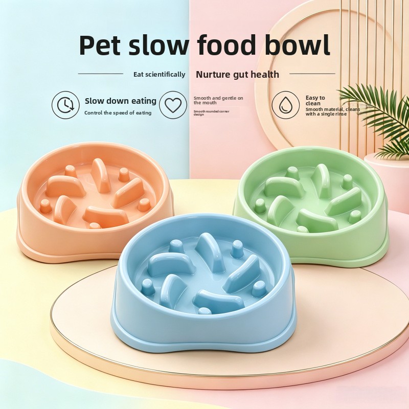 1/3pcs Non Slip Slow Feeder Do - Royal Canin Food Medium review and price