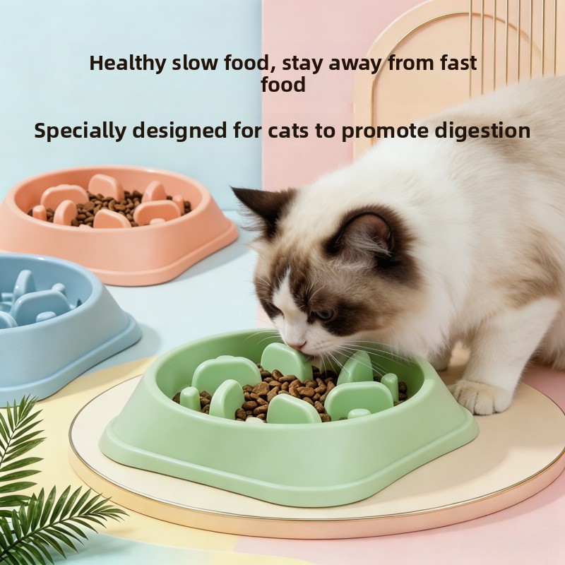 1/3pcs Non Slip Slow Feeder Do - Royal Canin Food Medium review and price