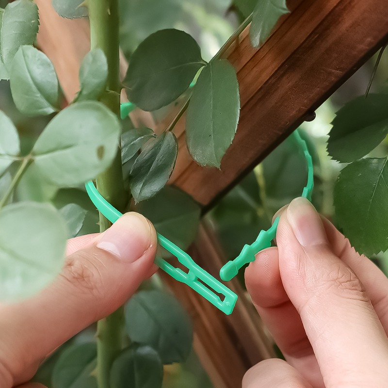 Wholesale Reusable Plant Fixed - Vine Climbing Plastic review and price