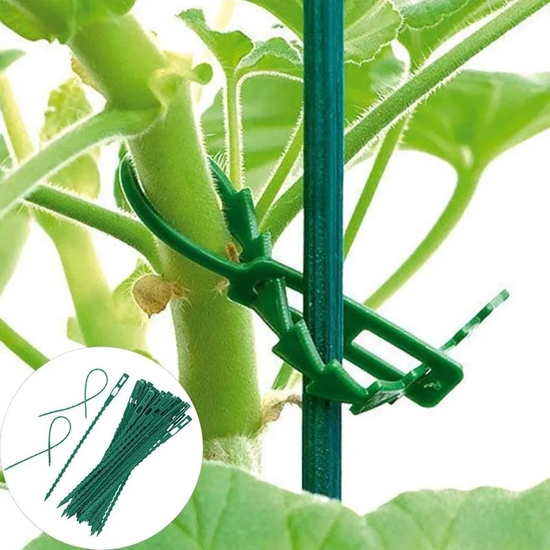 Wholesale Reusable Plant Fixed - Vine Climbing Plastic review and price