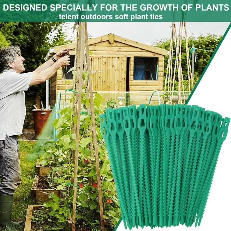 Wholesale Reusable Plant Fixed - Vine Climbing Plastic review and price
