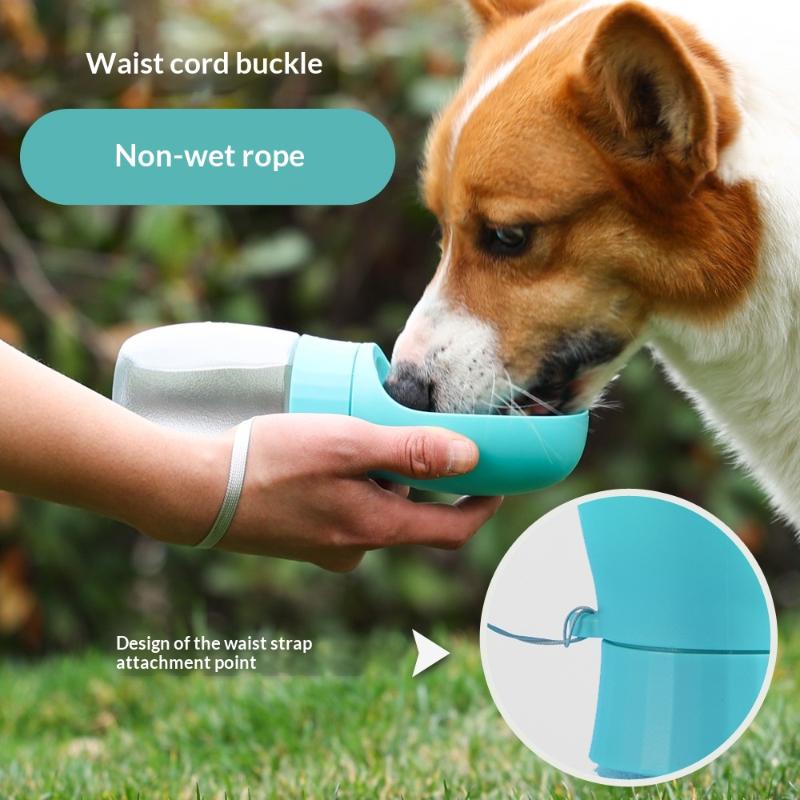 500ml Big Dog Water Bottle Por - Royal Canin Food Medium review and price