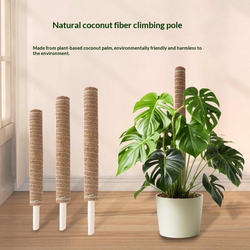 1Pcs Plant Growth Traction Rod - Vine Climbing Plastic review and price