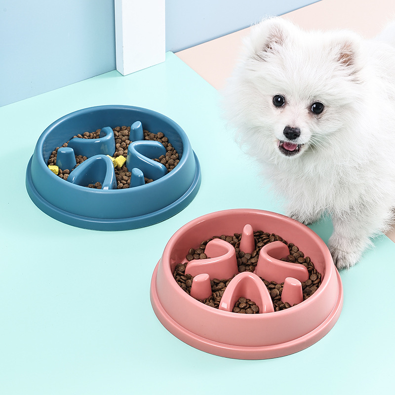 Healthy Dog Slow Feeder Bowl A - Royal Canin Food Medium review and price