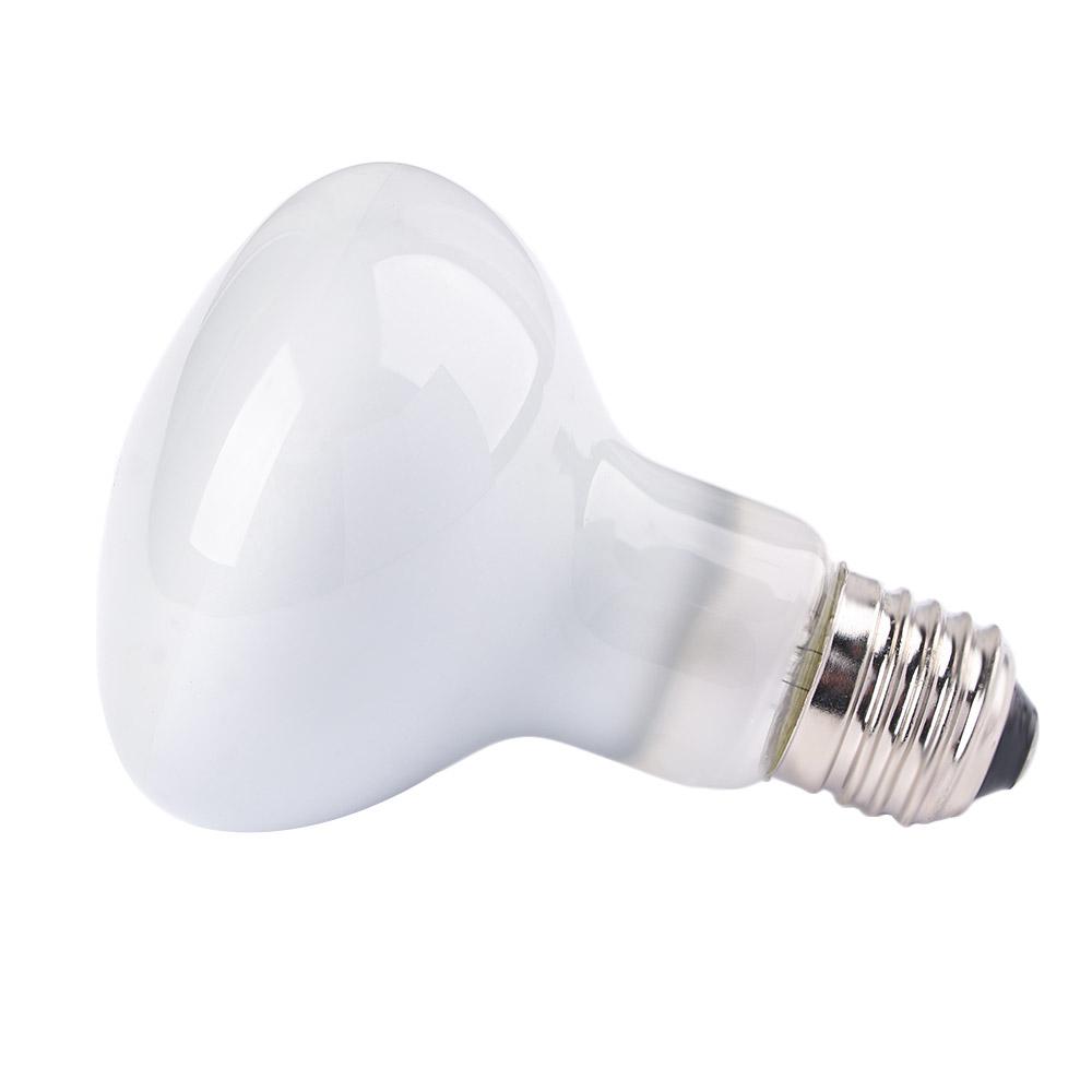 Amphibians Temperature Control - Basking Bulb Halogen review and price