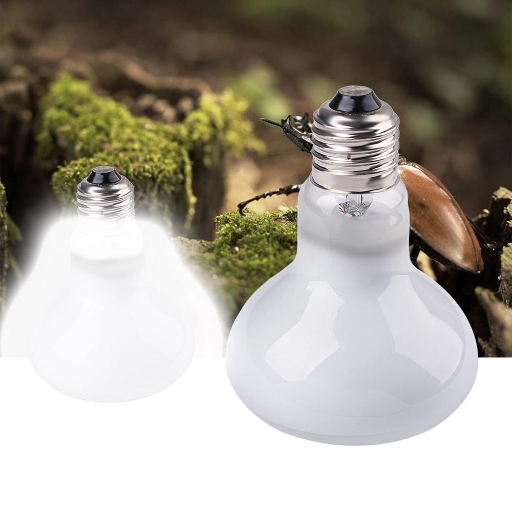 Amphibians Temperature Control - Basking Bulb Halogen review and price