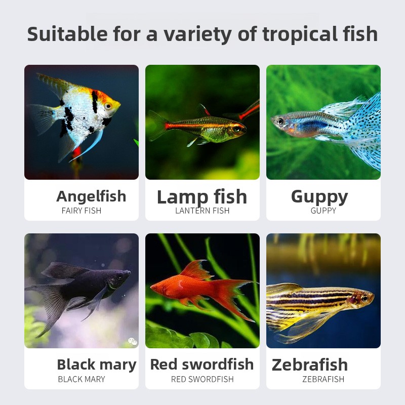 SUNSUN Premium Tropical Fish F - Tetra Food Tropical Flakes review and price