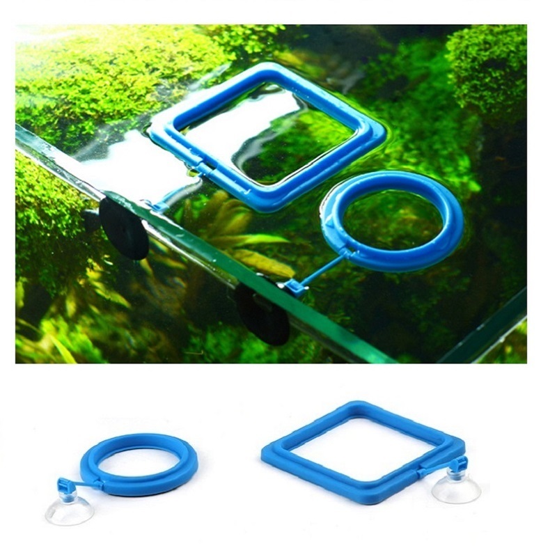 Fish Feeding Ring Feeder Fishi - Tetra Food Tropical Flakes review and price