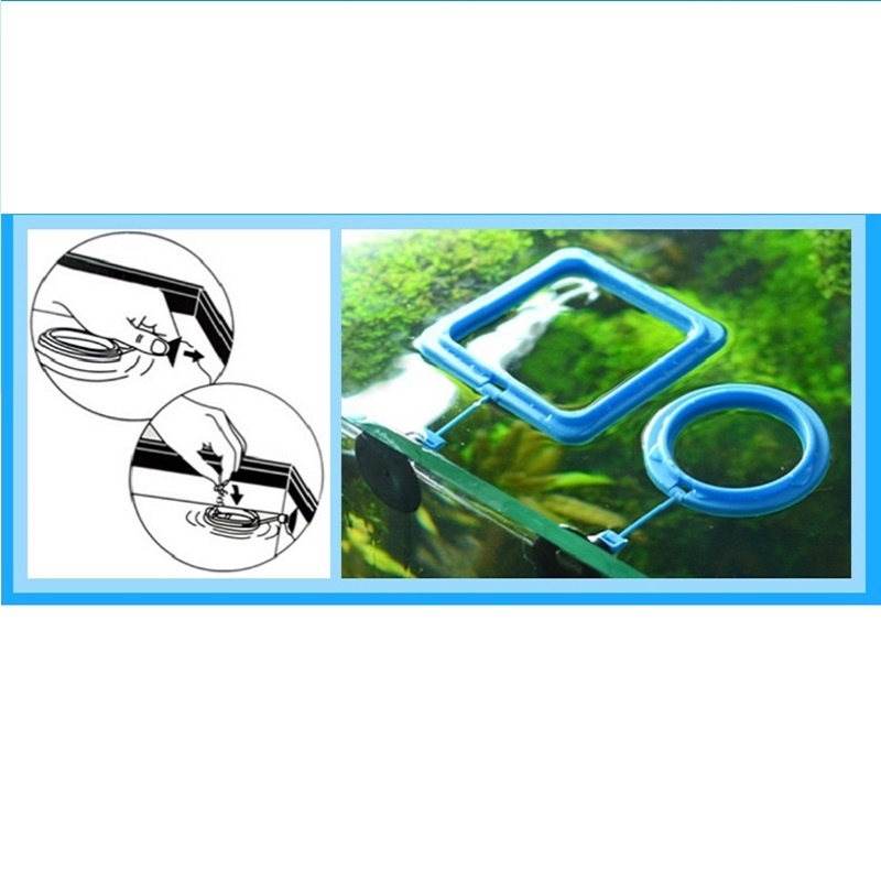 Fish Feeding Ring Feeder Fishi - Tetra Food Tropical Flakes review and price
