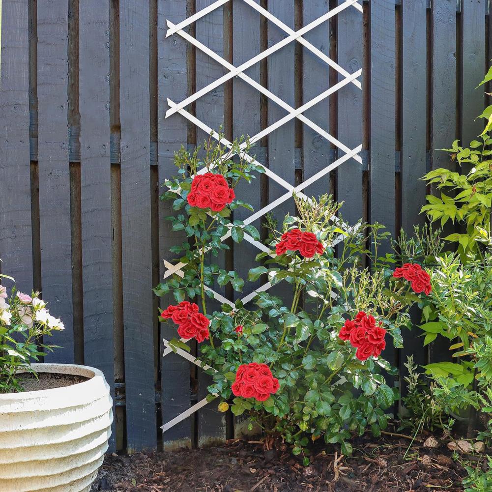 Expandable Garden Trellis 70 x - Vine Climbing Plastic review and price