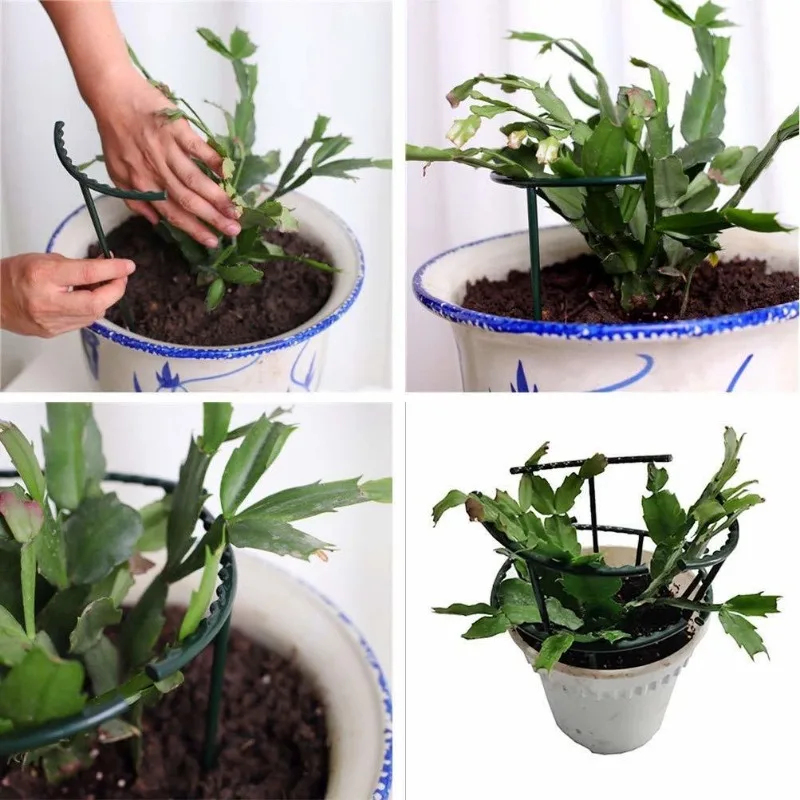 1-9set Plastic Plant Support P - Vine Climbing Plastic review and price