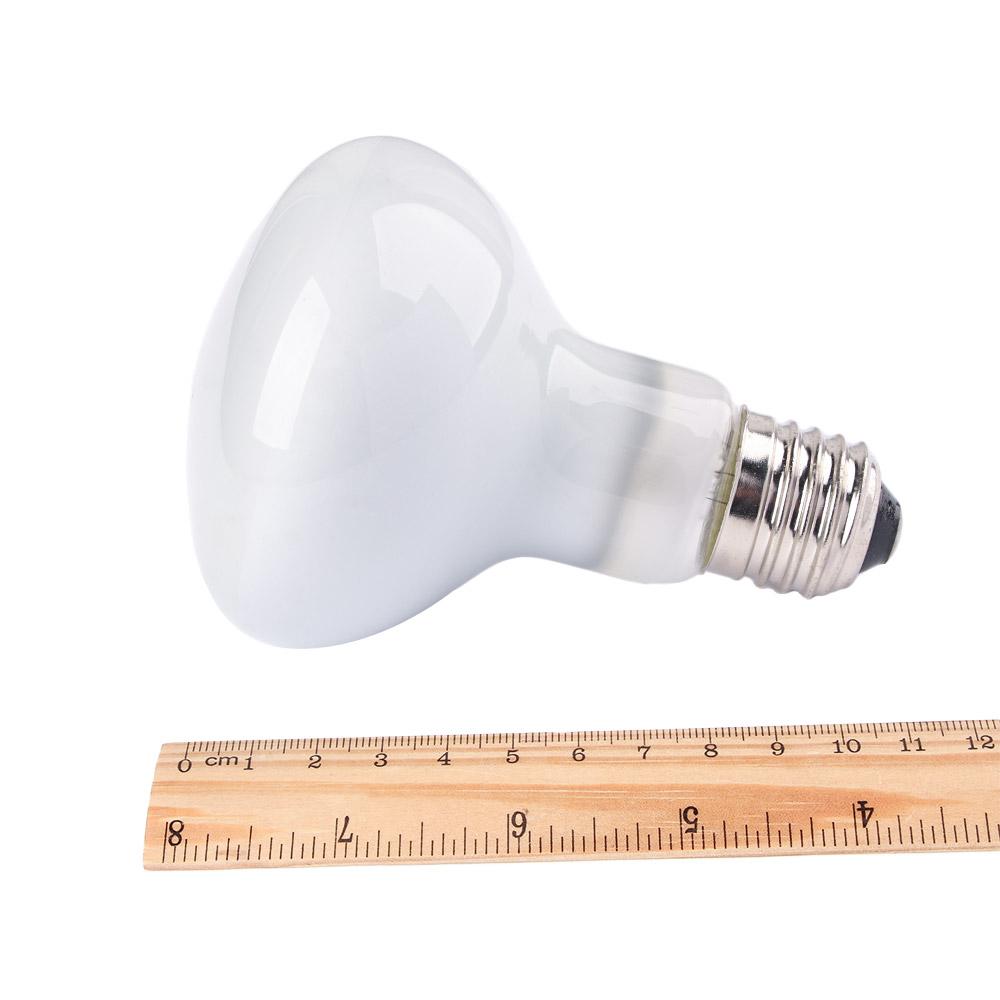 Turtle Heater Temperature Cont - Basking Bulb Halogen review and price