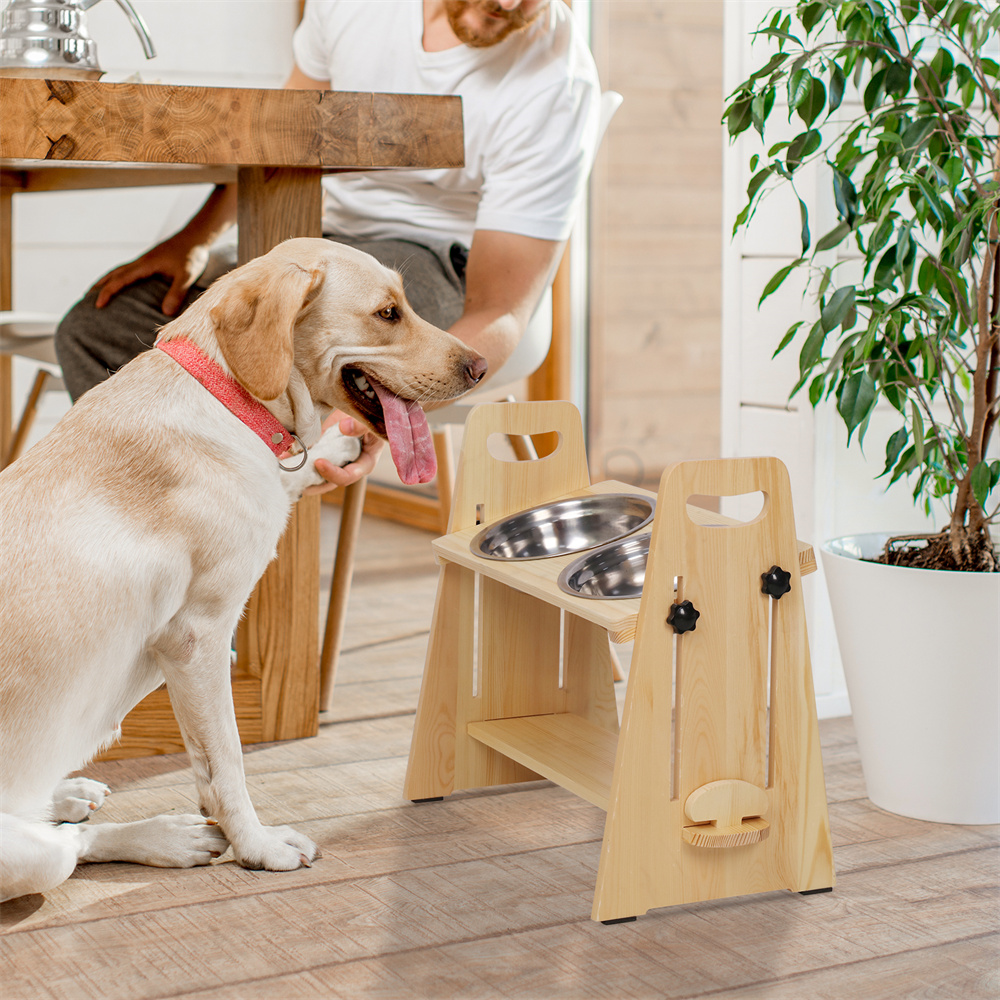 Height Adjustable Elevated Dog - Royal Canin Food Medium review and price