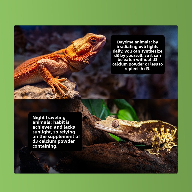Reptizoo Reptile Calcium Powde - Vitamin D3 Reptile review and price