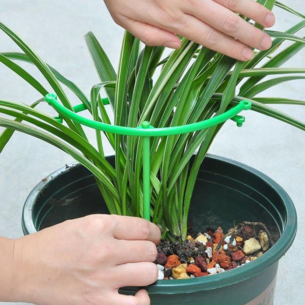 Adjustable Green Checkered Gar - Vine Climbing Plastic review and price