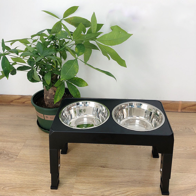 BOOTEELY Elevated Dog Feeder B - Royal Canin Food Medium review and price