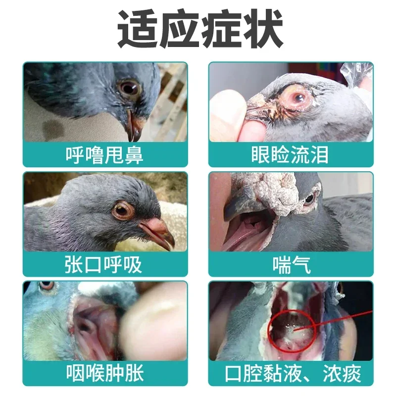 Parrots Meat Pigeons Chicken D - Vitamin D3 Reptile review and price