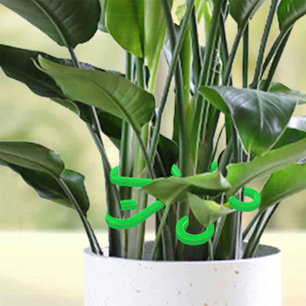 12Pcs Plant Support Clips for  - Vine Climbing Plastic review and price